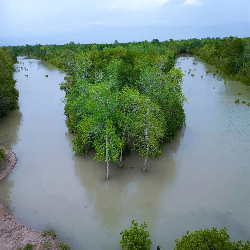 sonakhali-sundarban