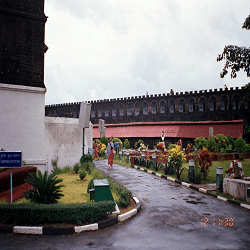 Cellular-Jail