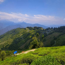 Darjeeling