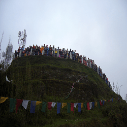 Tiger-Hill